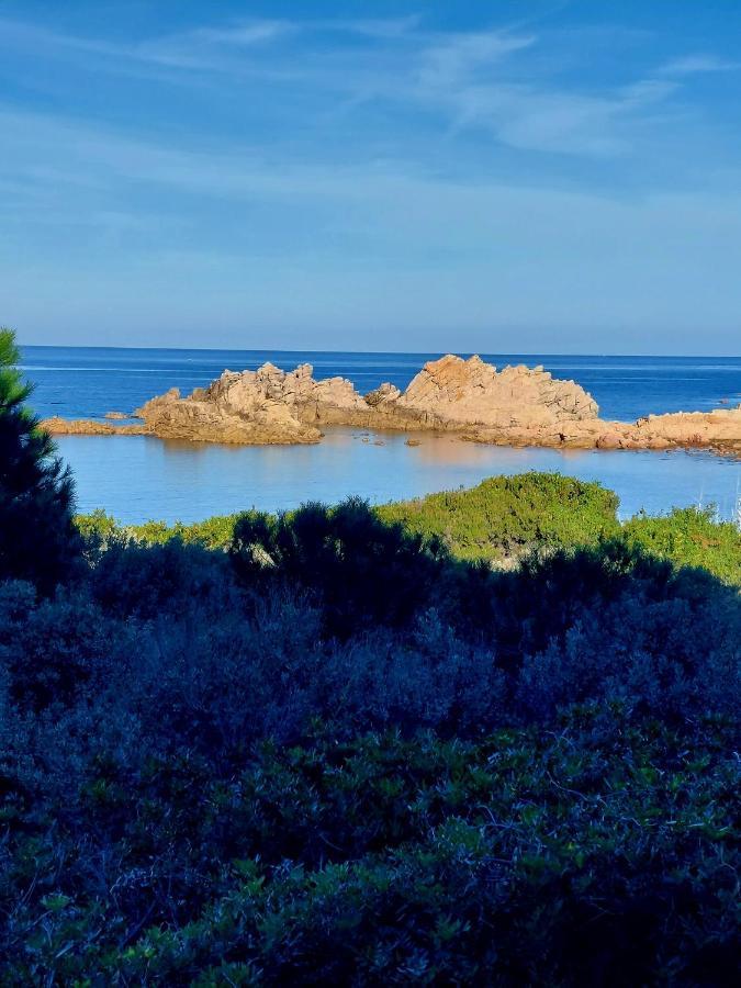 Appartamento Calarossa Sardegna Casarosa Isola Rossa Eksteriør billede