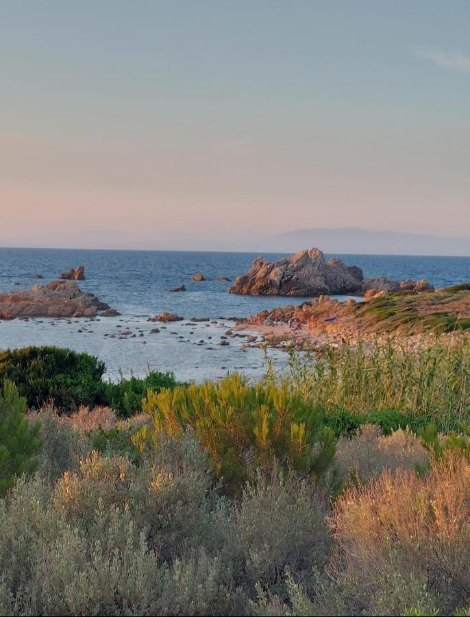 Appartamento Calarossa Sardegna Casarosa Isola Rossa Eksteriør billede