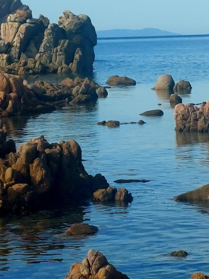 Appartamento Calarossa Sardegna Casarosa Isola Rossa Eksteriør billede