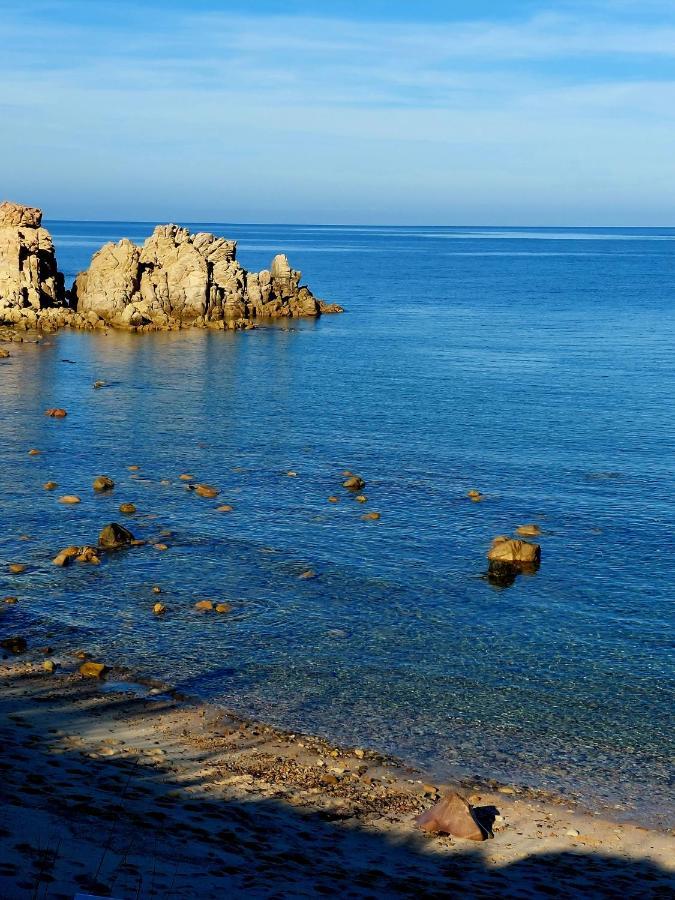 Appartamento Calarossa Sardegna Casarosa Isola Rossa Eksteriør billede