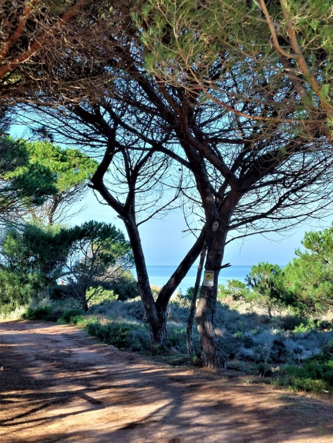 Appartamento Calarossa Sardegna Casarosa Isola Rossa Eksteriør billede